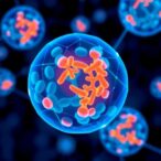 ai-tool-enhances-accuracy-in-predicting-patient-response-to-cancer-immunotherapy-drugs