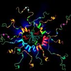 decoding-ferroptosis:-atf4-and-srebf-roles-revealed