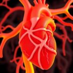 fibronectin-overactivation-drives-marfan-aortic-disease