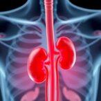 kidney-transplant-outcomes-in-older-adults-studied-by-german-researchers