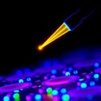 optoelectronic-tweezers-may-revolutionize-single-cell-research