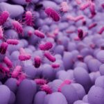 unlocking-microbiome-function-with-anaerobic-workflows-and-metabolic-phenotyping