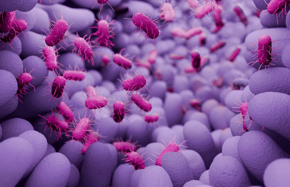 unlocking-microbiome-function-with-anaerobic-workflows-and-metabolic-phenotyping