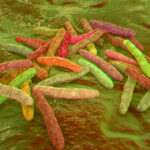 ai-tackles-tuberculosis,-identifies-drugs-that-penetrate-bacteria-membrane