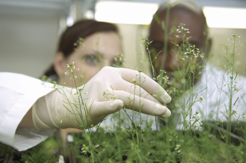 plant-expression-platforms-may-be-better-option-for-biopharma-in-the-global-south