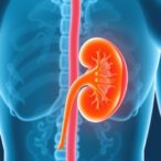 kidney-disease-rates-stable,-increasing-among-diabetes-and-heart-patients-in-us
