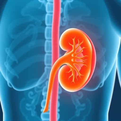 kidney-disease-rates-stable,-increasing-among-diabetes-and-heart-patients-in-us