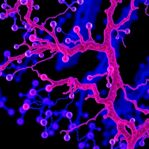 proteomic-analysis-identifies-prognostic-subgroups-in-smarca-deficient-esophageal-cancer