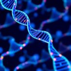 new-genetic-screen-advances-understanding-of-human-development