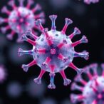 palace-enables-high-quality-phage-assembly-from-metagenomic-data