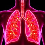 study-shows-lung-tumors-hijack-nervous-system-to-starve-body