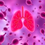 macrophages-key-to-organ-transplant-rejection-and-new-treatments