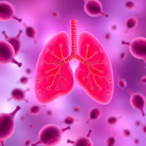 macrophages-key-to-organ-transplant-rejection-and-new-treatments