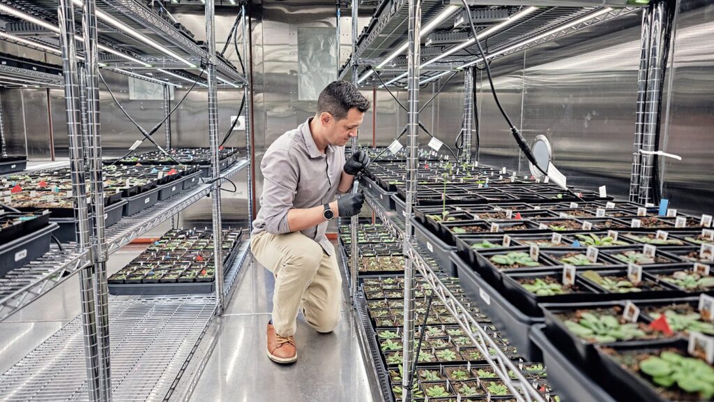 ag-genomics-begins-to-bear-fruit