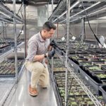 ag-genomics-begins-to-bear-fruit