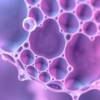 scientists-decode-glass-like-properties-of-epithelial-tissues