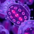 first-clinical-trial-of-stem-cell-therapy-for-huntington’s-disease-announced