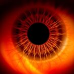 stem-cell-therapy-shows-one-year-survival-in-retinitis-pigmentosa-patients