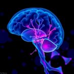 long-term-stem-cell-data-boosts-chronic-stroke-recovery-research