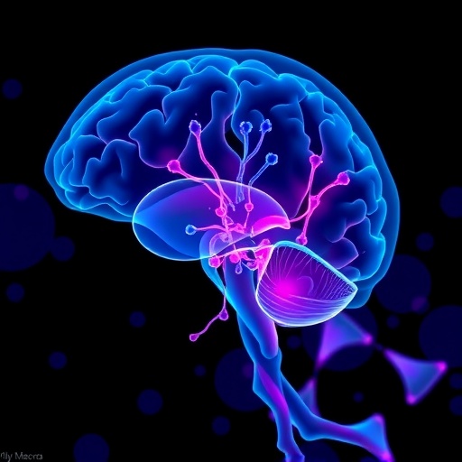 long-term-stem-cell-data-boosts-chronic-stroke-recovery-research