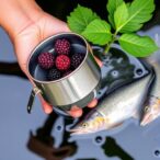 mulberry-biochar-boosts-fish-gut-health-and-aquaculture-water-quality