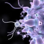 bacteriophages-enable-next-gen-smart-pathogen-detection-sensors