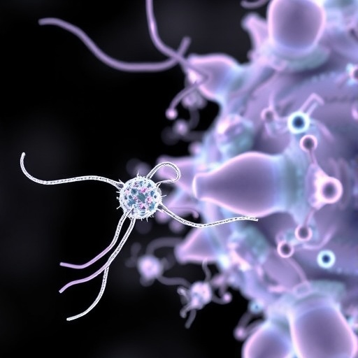 bacteriophages-enable-next-gen-smart-pathogen-detection-sensors