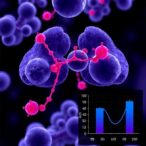 polyvinyl-chloride-boosts-liver-cancer-radioresistance-by-blocking-cd8⁺-t-cells
