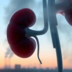 long-term-air-pollution-linked-to-increased-chronic-kidney-disease-risk