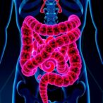 glycocholic-acid-accelerates-colitis-by-suppressing-intestinal-stem-cells
