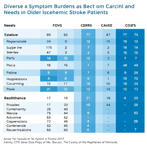 diverse-symptom-burdens-and-care-needs-in-older-ischemic-stroke-patients