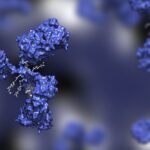 analytical-challenges-for-antibody-drug-conjugate-(adc)-manufacturing