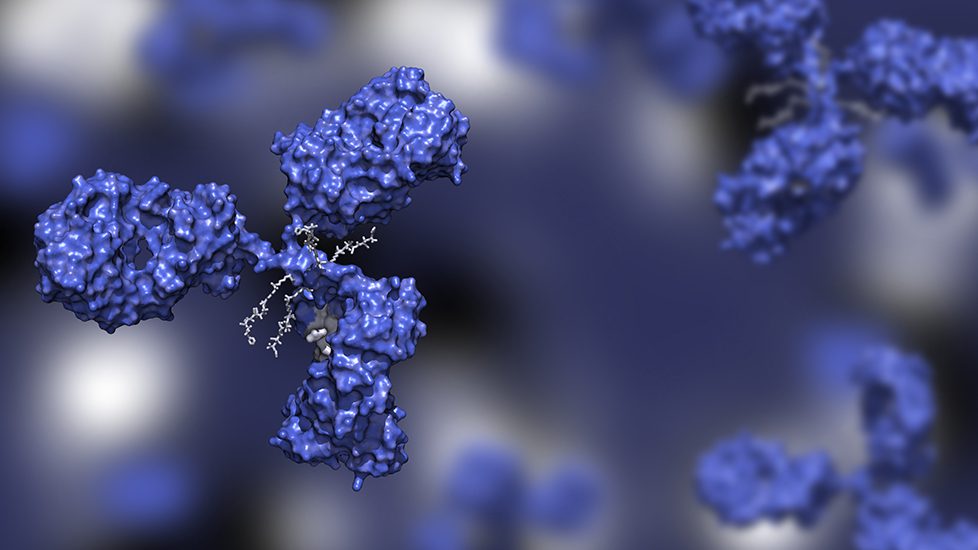 analytical-challenges-for-antibody-drug-conjugate-(adc)-manufacturing