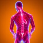 reducing-muscle-stiffness-could-help-myotonic-dystrophy-patients