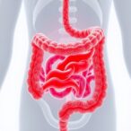 cellular-recycling-protein-crucial-for-gut-protection-and-health