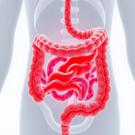 cellular-recycling-protein-crucial-for-gut-protection-and-health