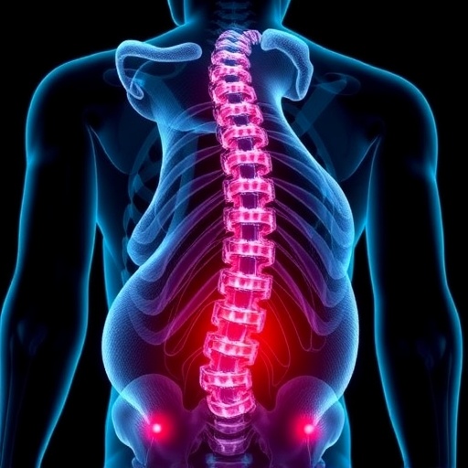 osteoclasts-trigger-dcc-loop-causing-chronic-low-back-pain-in-mice