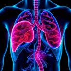 new-insights-into-liver-cancer-gene-signatures-for-prognosis-and-therapy