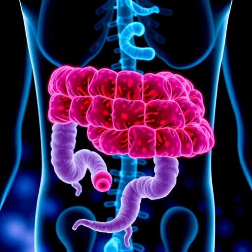 nebraska-study-links-gut-microbe-to-cancer-fighting-immune-response