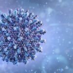 tick-borne-nairoviruses-use-otu-proteases-to-evade-human-antiviral-signals