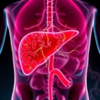 ulinastatin-shows-therapeutic-effects-in-liver-diseases