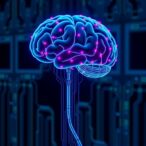 brain-computer-interface-training-could-boost-error-detection-abilities
