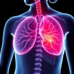 bile-acid-accumulation-promotes-breast-cancer-spread,-study-finds