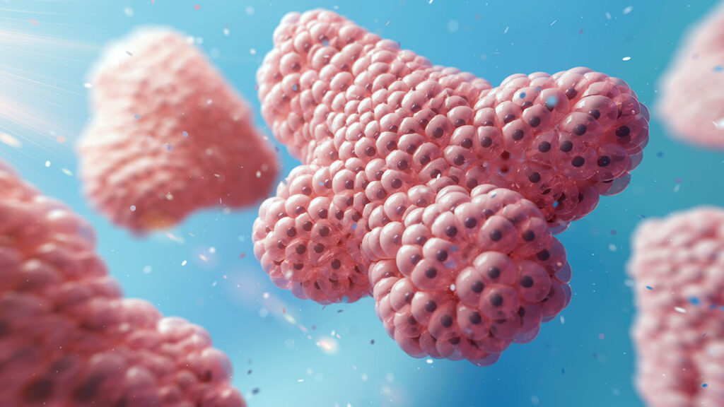 chronic-pancreatitis-therapies-informed-by-patient-derived-organoids