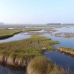 fragmented-european-wetlands-face-uneven-restoration-needs-and-patchy-recovery-efforts