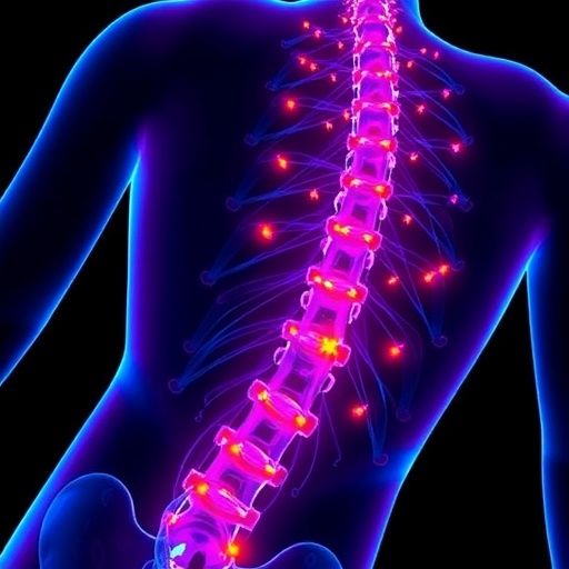 dresden-researchers-uncover-how-helpful-immune-cells-aid-spinal-cord-regeneration