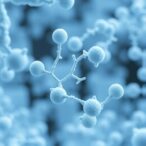 sweeteners-slow-growth-of-key-gut-bacteria-in-laboratory-studies
