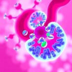 $2.5m-dod-grant-supports-targeted-therapy-development-for-triple-negative-breast-cancer
