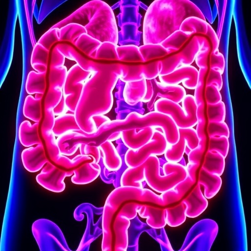 study-explains-why-some-colorectal-cancers-respond-better-to-immunotherapy