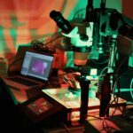 see,-blind-mice:-consortium’s-drugs-restore-sight